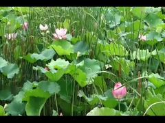 LanTu TREE voyah δωρεάν αυτοκίνητο voyah suv ηλεκτρικό αυτοκίνητο 520KM Γρήγορη φόρτιση 0.5H