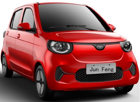 DongFeng 205KM  LHD or RHD EV  JF-LX1  Mini SUV door 2/4